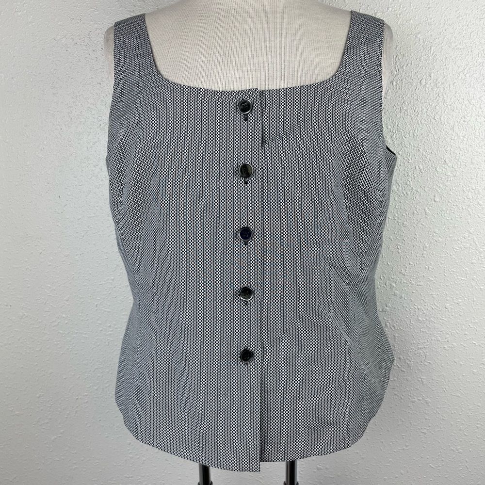 Rena Rowan Matching Silk Blend Vest and Cropped Pants EUC